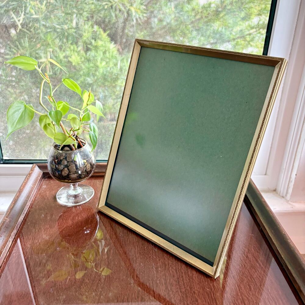 Vintage Gold Tone 8x10 Frame Tinted Glass Velvet Back